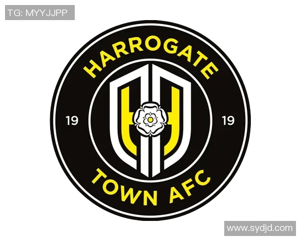 哈罗盖特镇足球队球星风采揭秘：从赛场到生活的多面人生